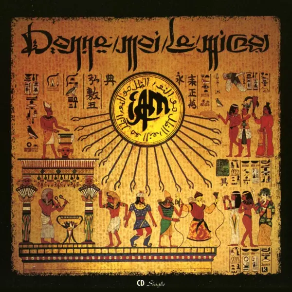 IAM "Donne moi le micro" Vinyle Simple addictive store 92