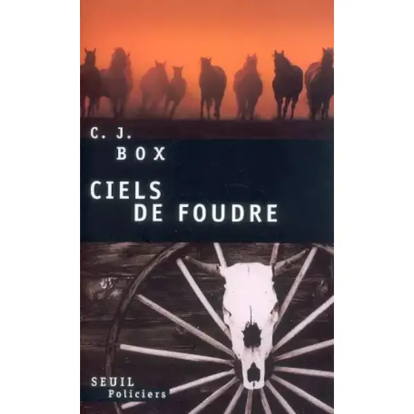 Ciels de foudre