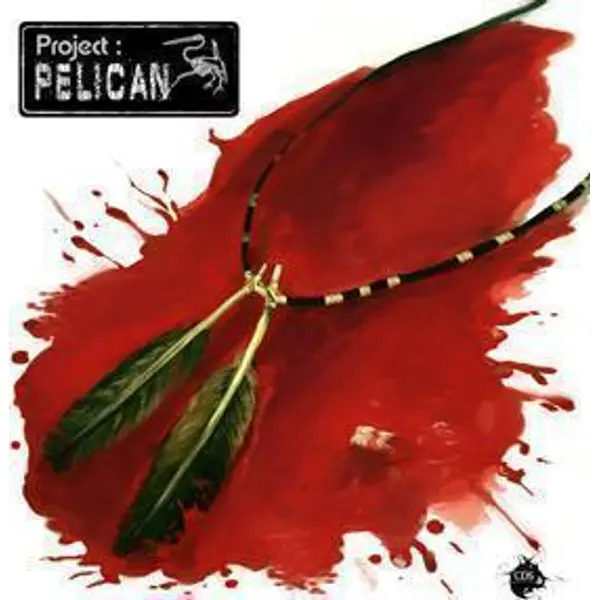 PROJECT : PELICAN