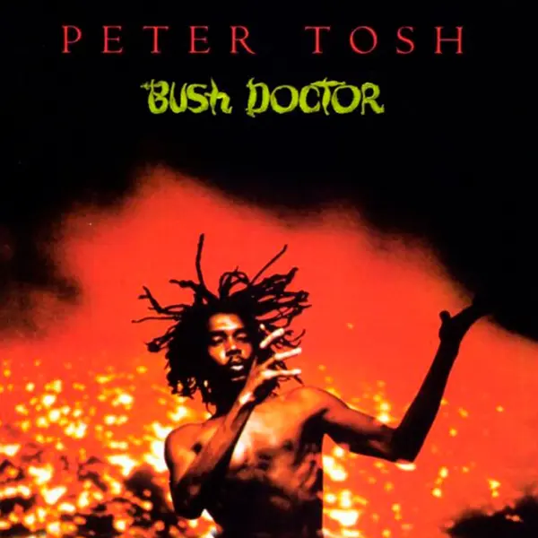 Peter Tosh "Bush Doctor" Vinyle Simple - Addictive Store