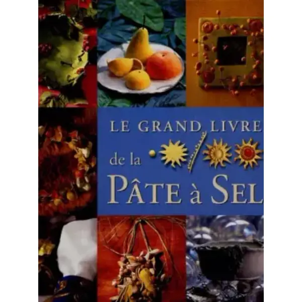 Le grand livre de la pâte à sel